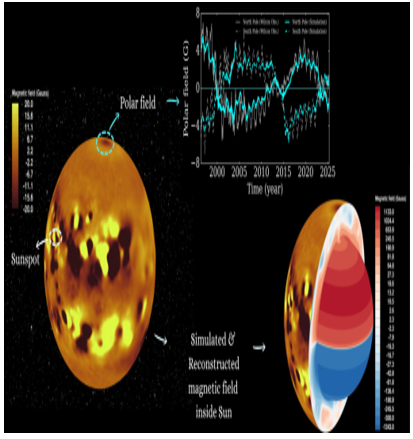 Surface Observations Reveal the Sun’s Hidden Magnetic Interior